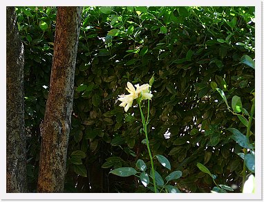 A 005 * 2048 x 1536 * (1.51MB)